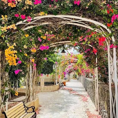 Villa Palma Chayofa
