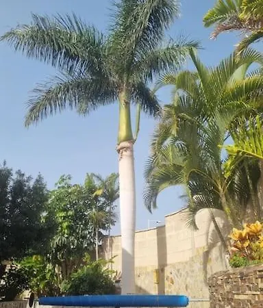 Villa Palma *
